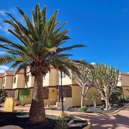 Ocean Forty C Apt. Green Oasis Costa Calma Fue Екстериор снимка